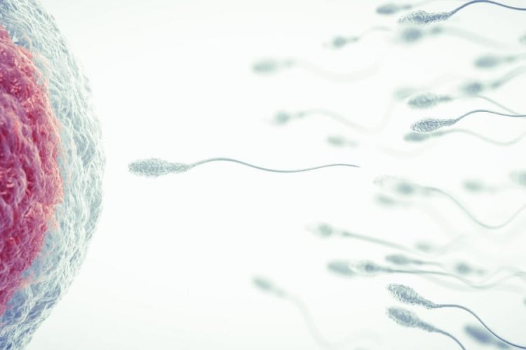 Intra Uterine Insemination (IUI)